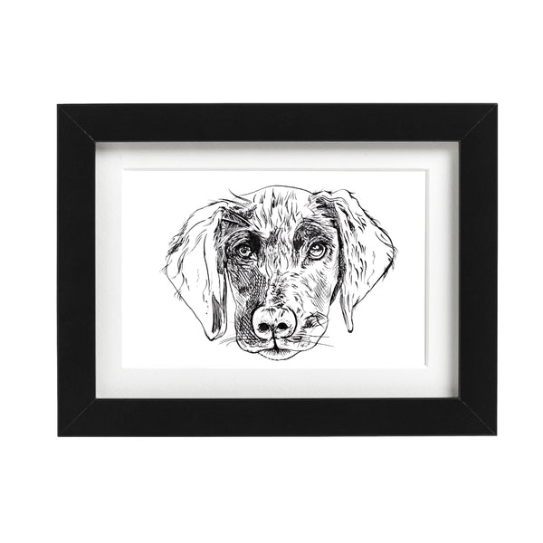Goldador Art Print