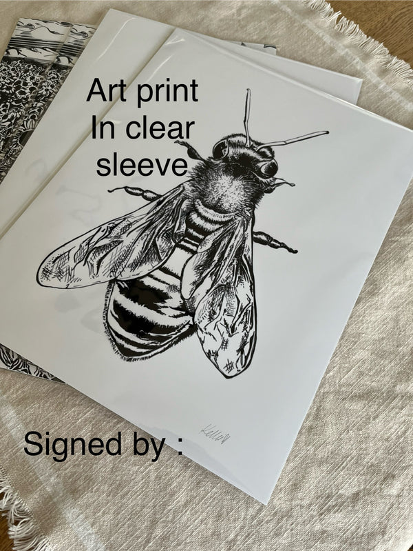 Black Eyed Susan Art Print