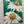 CONE FLOWERS ORIGINAL PAINTING
