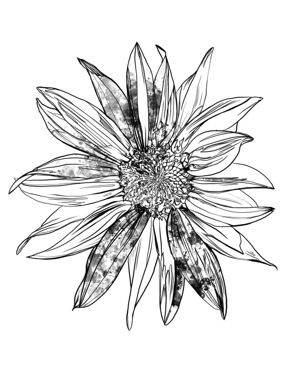 Sunflower Art Print