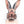 Wild Rabbit Wall Art Print