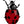 Lady Bug Art Print