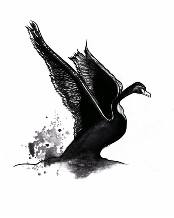 Swan Art Print