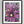 Pink Daisies Art Print - White Wall Market
